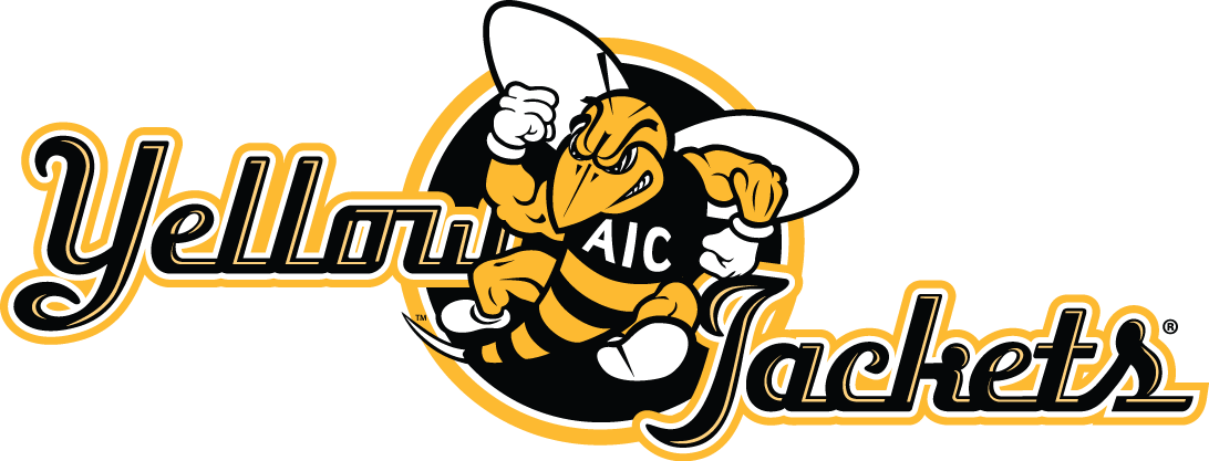 aic yellow jackets 2009-pres alternate logo v2 iron on transfers for T-shirts